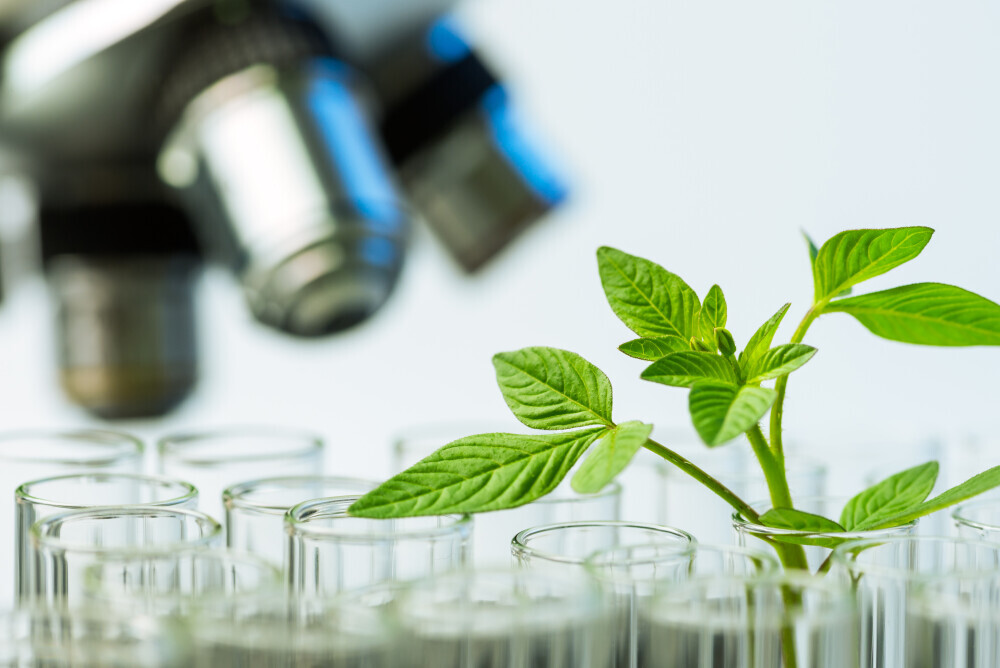 Biocontrol & Biostimulanten